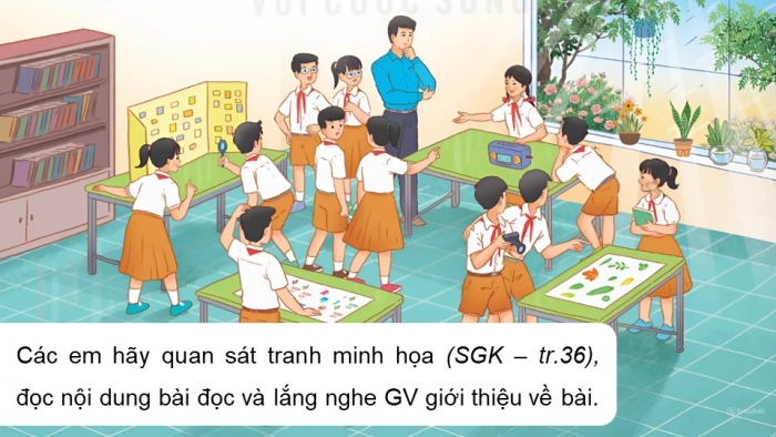 Giáo án điện tử Tiếng Việt 5 kết nối Bài 7: Bộ sưu tập độc đáo