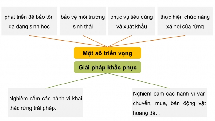 Giáo án điện tử Công nghệ 12 Lâm nghiệp - Thủy sản Kết nối Bài 2: Các hoạt động lâm nghiệp cơ bản và nguyên nhân chủ yếu làm suy thoái tài nguyên rừng