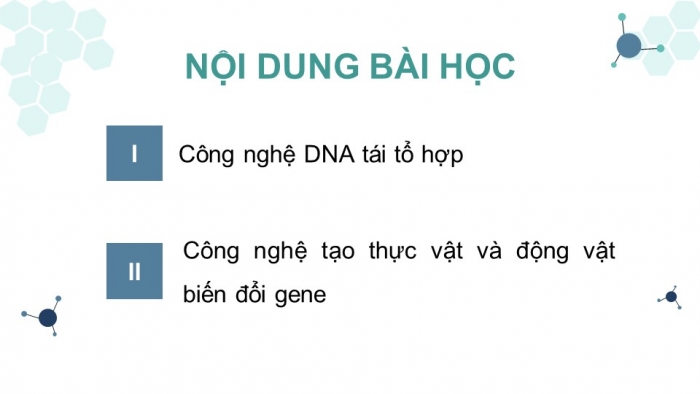 Giáo án điện tử Sinh học 12 kết nối Bài 5: Công nghệ di truyền