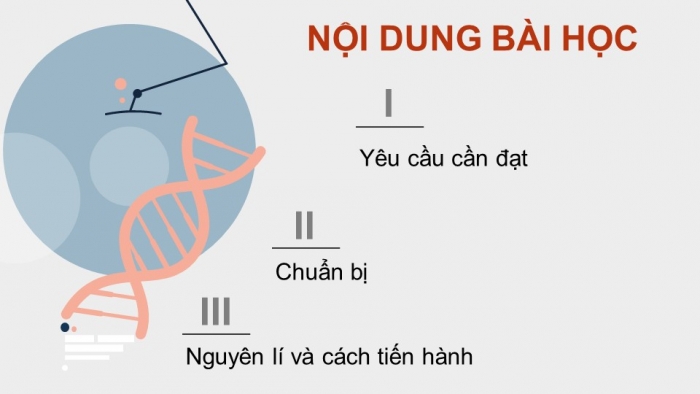 Giáo án điện tử Sinh học 12 kết nối Bài 6: Thực hành Tách chiết DNA