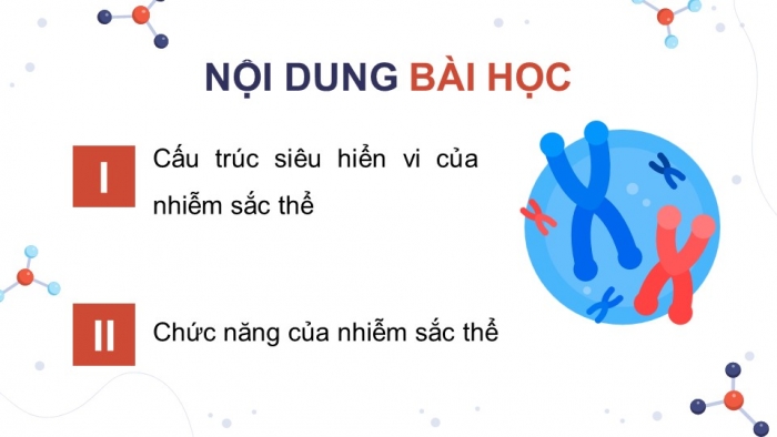 Giáo án điện tử Sinh học 12 kết nối Bài 7: Cấu trúc và chức năng của nhiễm sắc thể