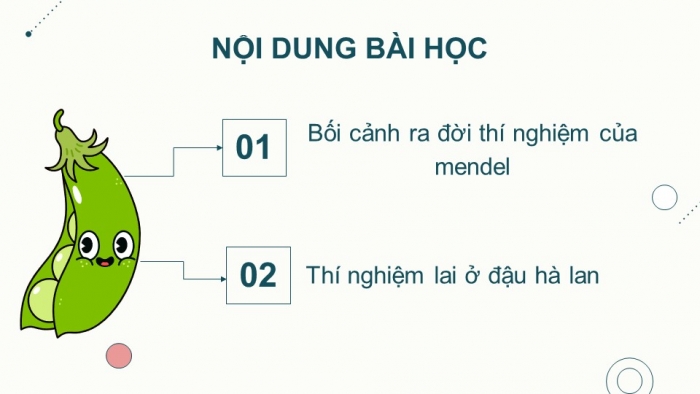 Giáo án điện tử Sinh học 12 kết nối Bài 8: Học thuyết di truyền của Mendel