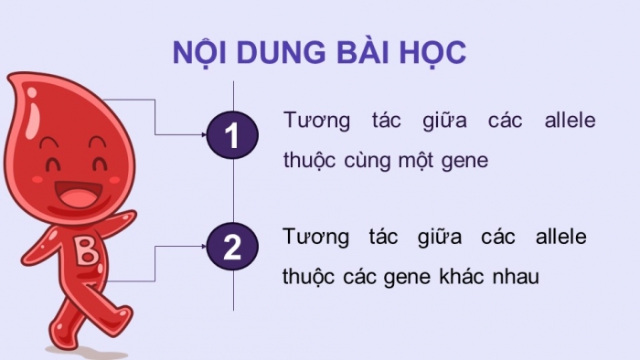 Giáo án điện tử Sinh học 12 kết nối Bài 9: Mở rộng học thuyết Mendel