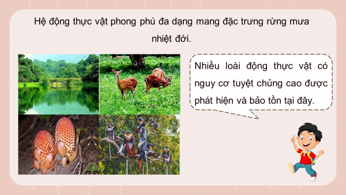 Giáo án điện tử Công nghệ 12 Lâm nghiệp - Thủy sản Kết nối Bài 3: Vai trò, nhiệm vụ của trồng và chăm sóc rừng