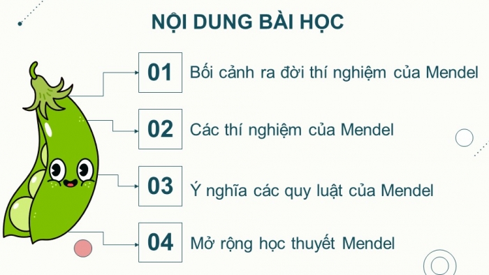 Giáo án điện tử Sinh học 12 chân trời Bài 7: Di truyền học Mendel và mở rộng học thuyết Mendel