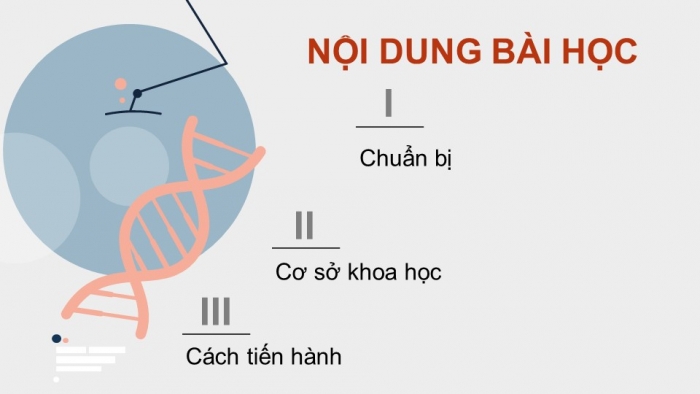 Giáo án điện tử Sinh học 12 chân trời Bài 2: Thực hành Tách chiết DNA