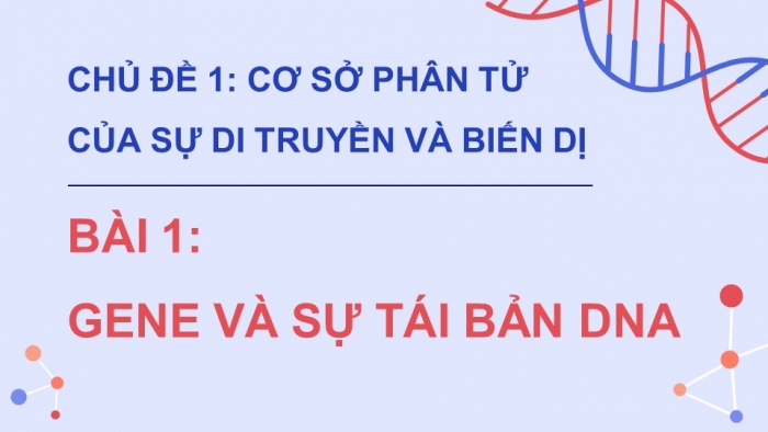 Giáo án điện tử Sinh học 12 cánh diều Bài 1: Gene và sự tái bản DNA