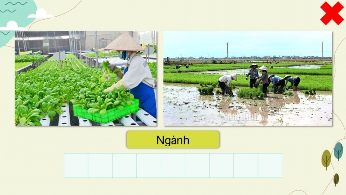 Giáo án điện tử Địa lí 9 cánh diều Bài 4: Nông nghiệp, lâm nghiệp, thủy sản