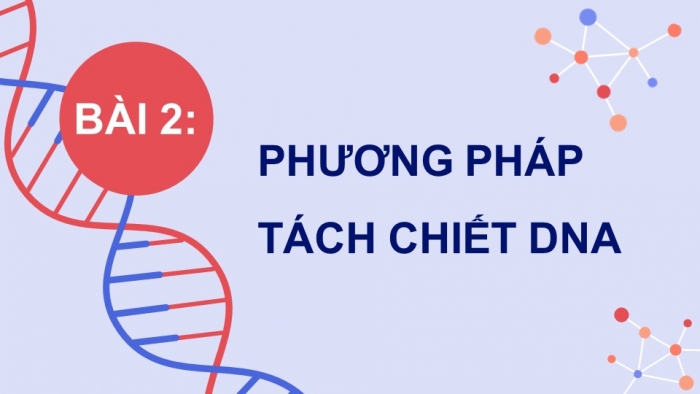 Giáo án điện tử chuyên đề sinh học 12 kết nối bài 2: Phương pháp tách chiết DNA