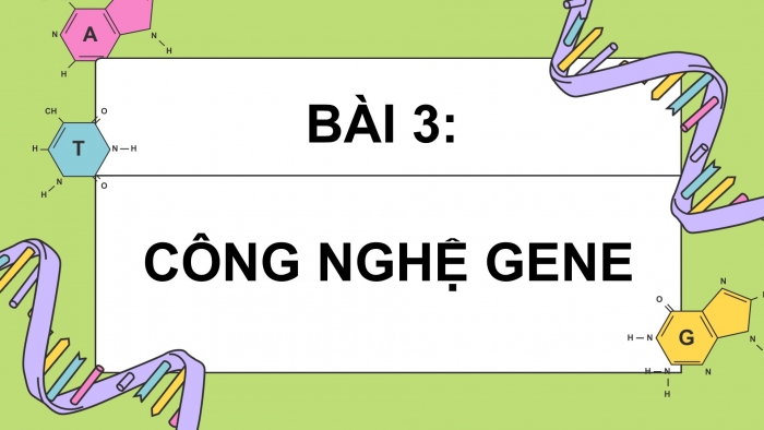 Giáo án điện tử chuyên đề sinh học 12 kết nối bài 3: Công nghệ gene