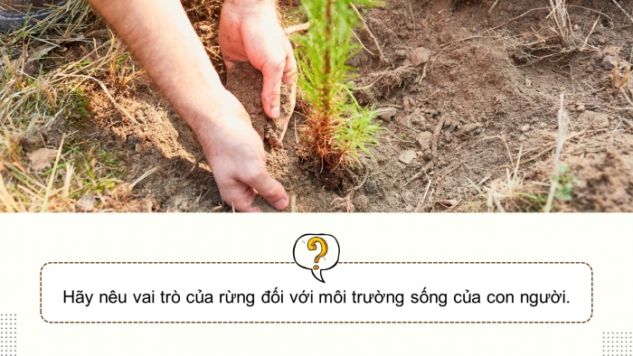 Giáo án điện tử Công nghệ 12 Lâm nghiệp Thủy sản Cánh diều Bài 1: Vai trò và triển vọng của lâm nghiệp