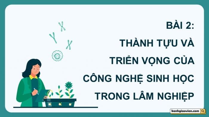 Giáo án điện tử chuyên đề Công nghệ 12 Lâm nghiệp Thuỷ sản Cánh diều Bài 2: Thành tựu và triển vọng của công nghệ sinh học trong lâm nghiệp