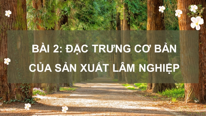 Giáo án điện tử Công nghệ 12 Lâm nghiệp Thủy sản Cánh diều Bài 2: Đặc trưng cơ bản của sản xuất lâm nghiệp