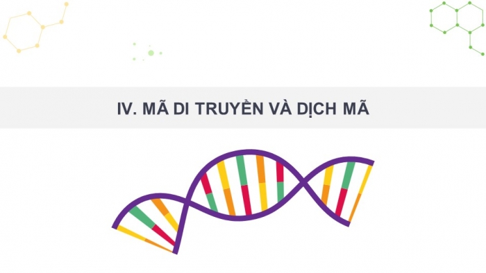 Giáo án điện tử Sinh học 12 chân trời Bài 1: Gene và cơ chế truyền thông tin di truyền (P2)