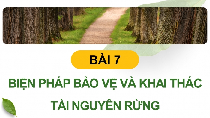 Giáo án điện tử Công nghệ 12 Lâm nghiệp - Thủy sản Kết nối Bài 7: Biện pháp bảo vệ và khai thác tài nguyên rừng