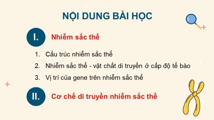 Giáo án điện tử Sinh học 12 cánh diều Bài 5: Nhiễm sắc thể và cơ chế di truyền nhiễm sắc thể