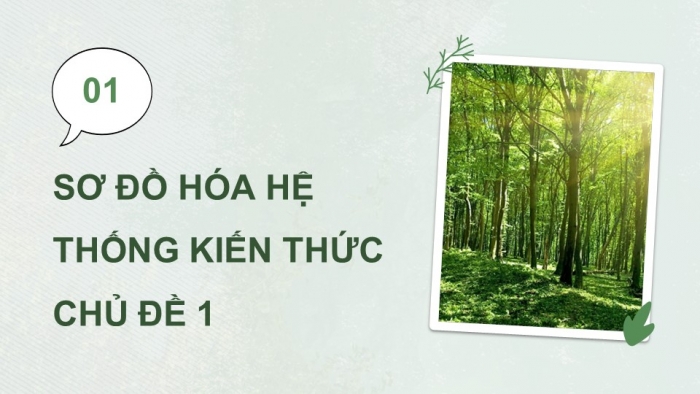 Giáo án điện tử Công nghệ 12 Lâm nghiệp Thủy sản Cánh diều Bài Ôn tập chủ đề 1