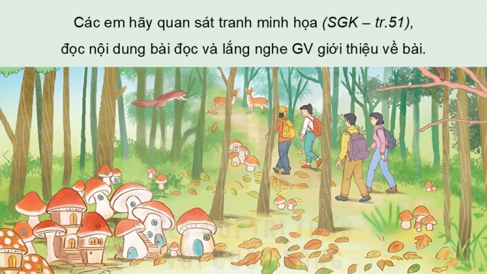 Giáo án điện tử Tiếng Việt 5 kết nối Bài 10: Kì diệu rừng xanh