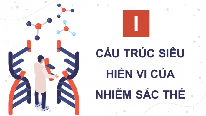 Giáo án điện tử Sinh học 12 kết nối Bài 7: Cấu trúc và chức năng của nhiễm sắc thể