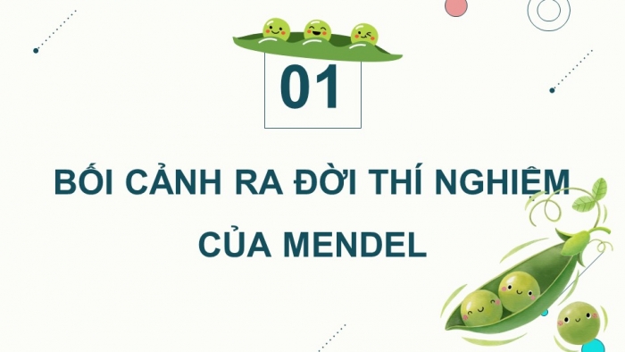 Giáo án điện tử Sinh học 12 kết nối Bài 8: Học thuyết di truyền của Mendel