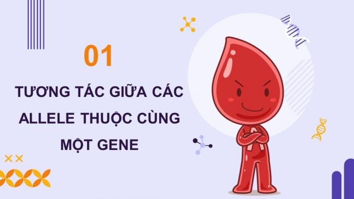 Giáo án điện tử Sinh học 12 kết nối Bài 9: Mở rộng học thuyết Mendel