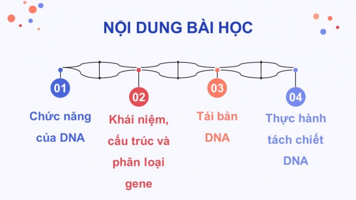 Giáo án điện tử Sinh học 12 cánh diều Bài 1: Gene và sự tái bản DNA