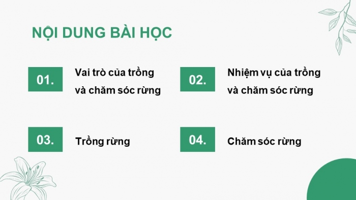 Giáo án điện tử Công nghệ 12 Lâm nghiệp Thủy sản Cánh diều Bài 5: Hoạt động trồng và chăm sóc rừng