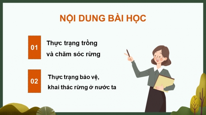 Giáo án điện tử Công nghệ 12 Lâm nghiệp Thủy sản Cánh diều Bài 7: Thực trạng trồng, chăm sóc, bảo vệ và khai thác rừng