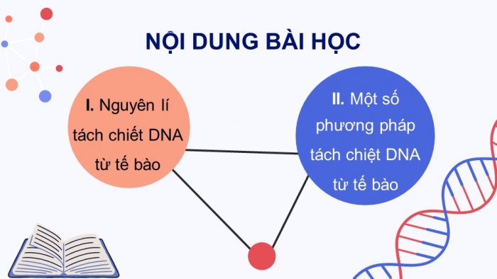 Giáo án điện tử chuyên đề Sinh học 12 chân trời Bài 2: Tách chiết DNA từ tế bào