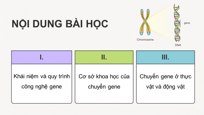 Giáo án điện tử chuyên đề sinh học 12 kết nối bài 3: Công nghệ gene