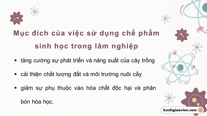 Giáo án điện tử chuyên đề công nghệ 12 lâm nghiệp - thuỷ sản kết nối bài 3: Công nghệ sinh học trong sản xuất chế phẩm vi sinh phục vụ lâm nghiệp