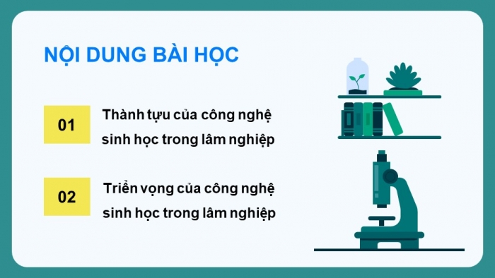 Giáo án điện tử chuyên đề Công nghệ 12 Lâm nghiệp Thuỷ sản Cánh diều Bài 2: Thành tựu và triển vọng của công nghệ sinh học trong lâm nghiệp