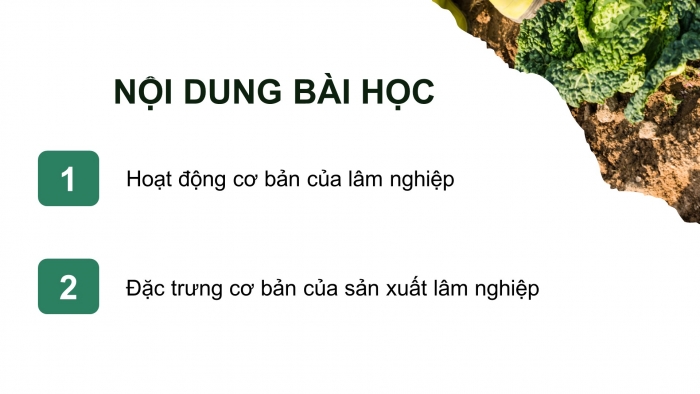 Giáo án điện tử Công nghệ 12 Lâm nghiệp Thủy sản Cánh diều Bài 2: Đặc trưng cơ bản của sản xuất lâm nghiệp