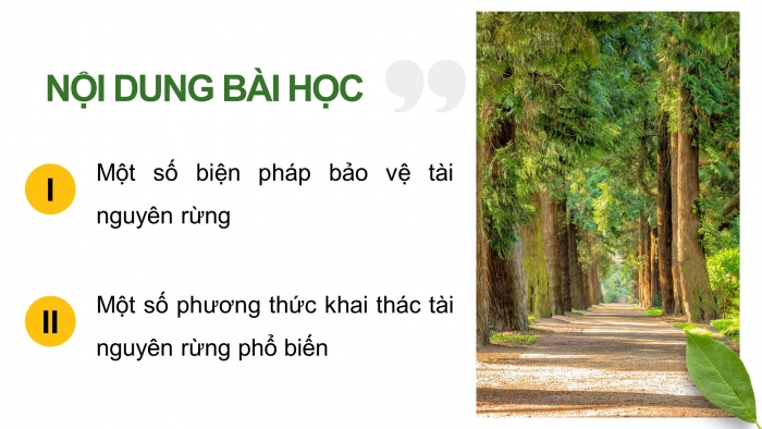 Giáo án điện tử Công nghệ 12 Lâm nghiệp - Thủy sản Kết nối Bài 7: Biện pháp bảo vệ và khai thác tài nguyên rừng