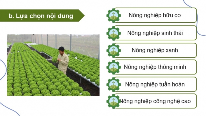 Giáo án điện tử Địa lí 9 cánh diều Bài 5: Thực hành Viết báo cáo ngắn về mô hình sản xuất nông nghiệp