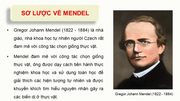 Giáo án điện tử Sinh học 12 kết nối Bài 8: Học thuyết di truyền của Mendel