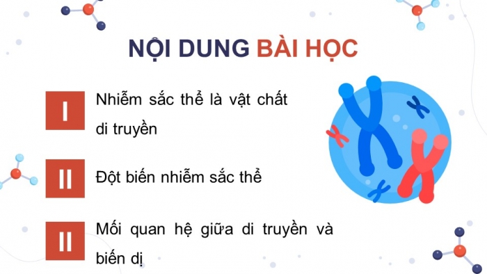 Giáo án điện tử Sinh học 12 chân trời Bài 5: Nhiễm sắc thể và đột biến nhiễm sắc thể