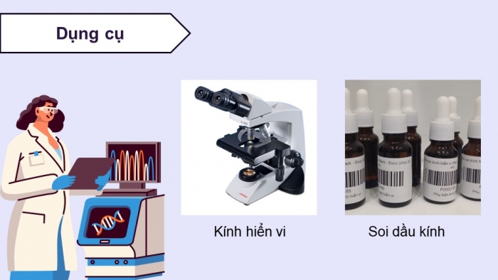 Giáo án điện tử Sinh học 12 chân trời Bài 6: Thực hành Quan sát đột biến nhiễm sắc thể, Tìm hiểu tác hại gây đột biến của một số chất độc