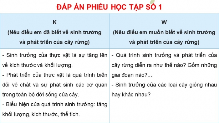 Giáo án điện tử Công nghệ 12 Lâm nghiệp Thủy sản Cánh diều Bài 4: Sinh trưởng và phát triển của cây rừng