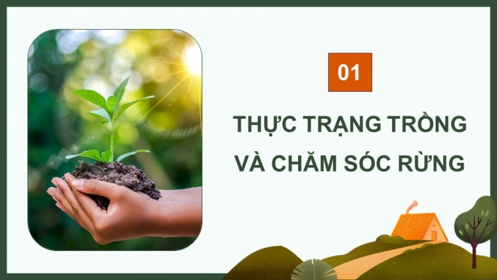 Giáo án điện tử Công nghệ 12 Lâm nghiệp Thủy sản Cánh diều Bài 7: Thực trạng trồng, chăm sóc, bảo vệ và khai thác rừng