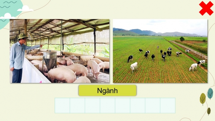 Giáo án điện tử Địa lí 9 cánh diều Bài 4: Nông nghiệp, lâm nghiệp, thủy sản