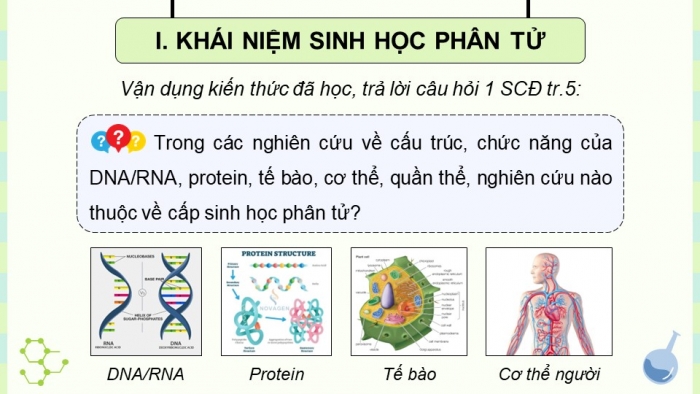 Giáo án điện tử chuyên đề Sinh học 12 chân trời Bài 1: Khái quát sinh học phân tử và các thành tựu