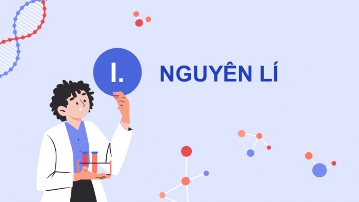 Giáo án điện tử chuyên đề sinh học 12 kết nối bài 2: Phương pháp tách chiết DNA