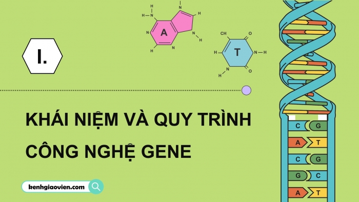 Giáo án điện tử chuyên đề sinh học 12 kết nối bài 3: Công nghệ gene