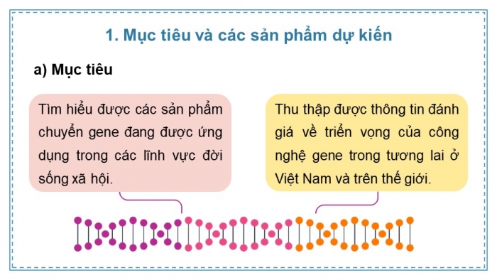 Giáo án điện tử chuyên đề sinh học 12 kết nối bài 4: Dự án tìm hiểu về các sản phẩm chuyển gene và thu thập các thông tin đánh giá triển vọng của công nghệ gene trong tương lai.