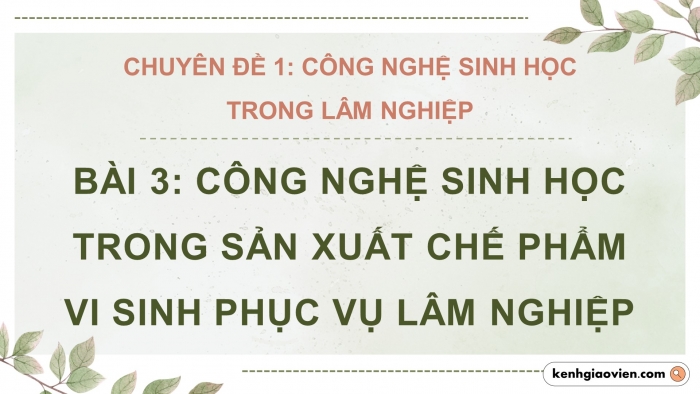 Giáo án điện tử chuyên đề công nghệ 12 lâm nghiệp - thuỷ sản kết nối bài 3: Công nghệ sinh học trong sản xuất chế phẩm vi sinh phục vụ lâm nghiệp