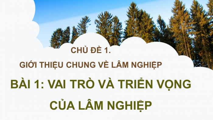 Giáo án điện tử Công nghệ 12 Lâm nghiệp Thủy sản Cánh diều Bài 1: Vai trò và triển vọng của lâm nghiệp