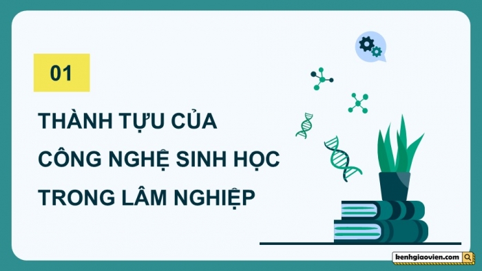 Giáo án điện tử chuyên đề Công nghệ 12 Lâm nghiệp Thuỷ sản Cánh diều Bài 2: Thành tựu và triển vọng của công nghệ sinh học trong lâm nghiệp