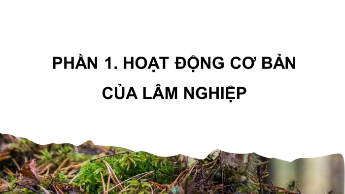 Giáo án điện tử Công nghệ 12 Lâm nghiệp Thủy sản Cánh diều Bài 2: Đặc trưng cơ bản của sản xuất lâm nghiệp