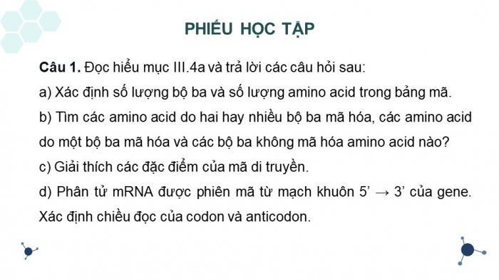 Giáo án điện tử Sinh học 12 chân trời Bài 1: Gene và cơ chế truyền thông tin di truyền (P2)